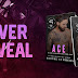 Cover Reveal for Ace by Brooke Summers