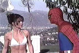 Spiderman (El hombre araña), Nicholas Hammond