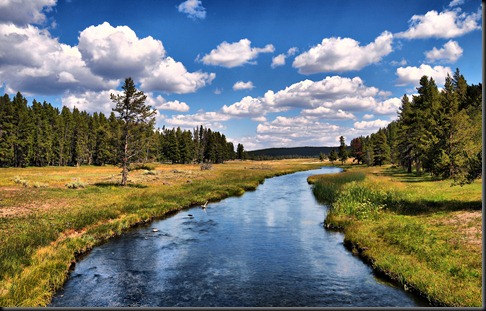 grizzly-river-1920x1200