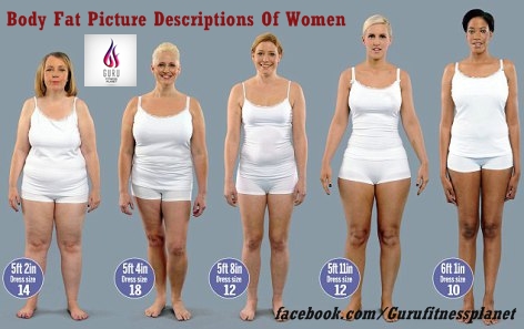 Fitness Guru: Article # 503. Body Fat Descriptions Of Women