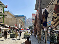На Чикен-стрит в Кабуле - Медвежьи метаморфозы. Глава четвертая