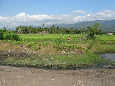 The Lovina strip consists of a string of interlocked coastal villages on the key due north bestthailandbeaches: Lovina