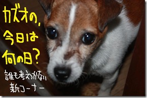 今日カズ１００１１１　１