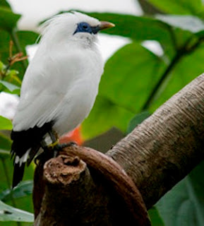 Objek wisata di Kabupaten Jembrana Bali