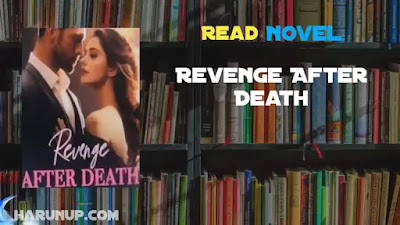 Revenge After Death Novel