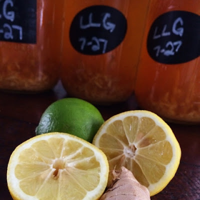 Lemon, Lime, & Ginger Kombucha - Flavoring ingredients in the front, 1/2 gallon jars during second ferment in the back.