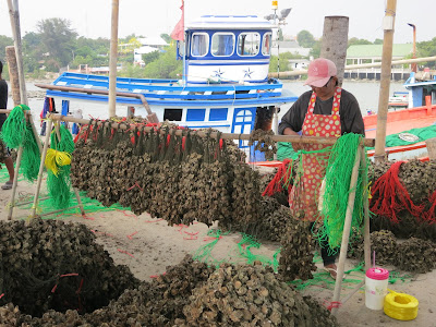 Tai Oyster Farm