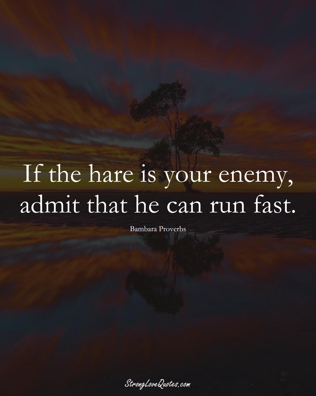 If the hare is your enemy, admit that he can run fast. (Bambara Sayings);  #aVarietyofCulturesSayings