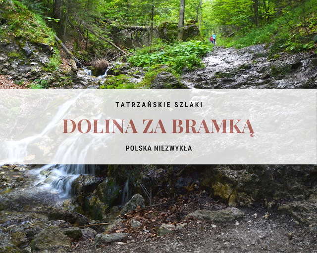 Dolina za Bramką - szlaki w Tatrach