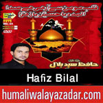 http://www.humaliwalayazadar.com/2015/10/hafiz-bilal-nohay-2016.html