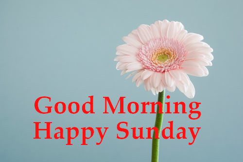 Good Morning Happy Sunday