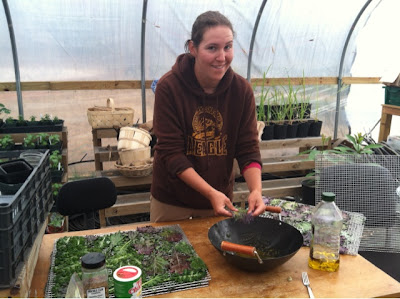 Hannah seasons kale chips before drying