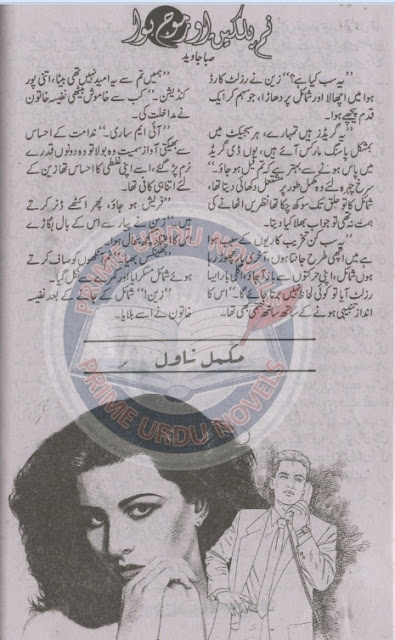 Num palken aur moj hawa novel by Saba Javed Online Reading