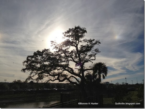 FL_Jan2014 115
