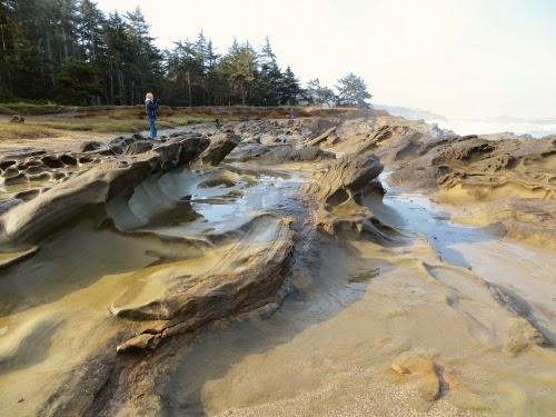 OregonCoastLooksLikeUtahButItIsWet-1-2014-04-20-21-33.jpg