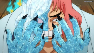 ワンピースアニメ 1022話 氷鬼 | ONE PIECE Episode 1022