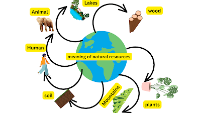 Natural Resources- Example, Definition, Types, In Full Detail