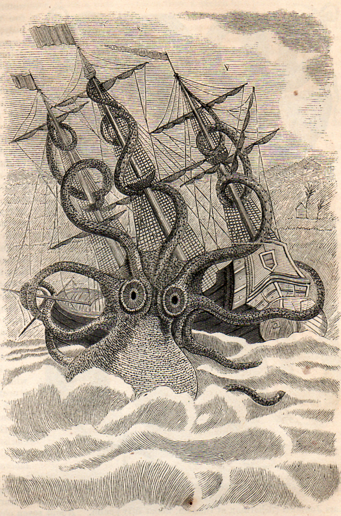octopus clip art. Vintage Clip Art- Giant Squid