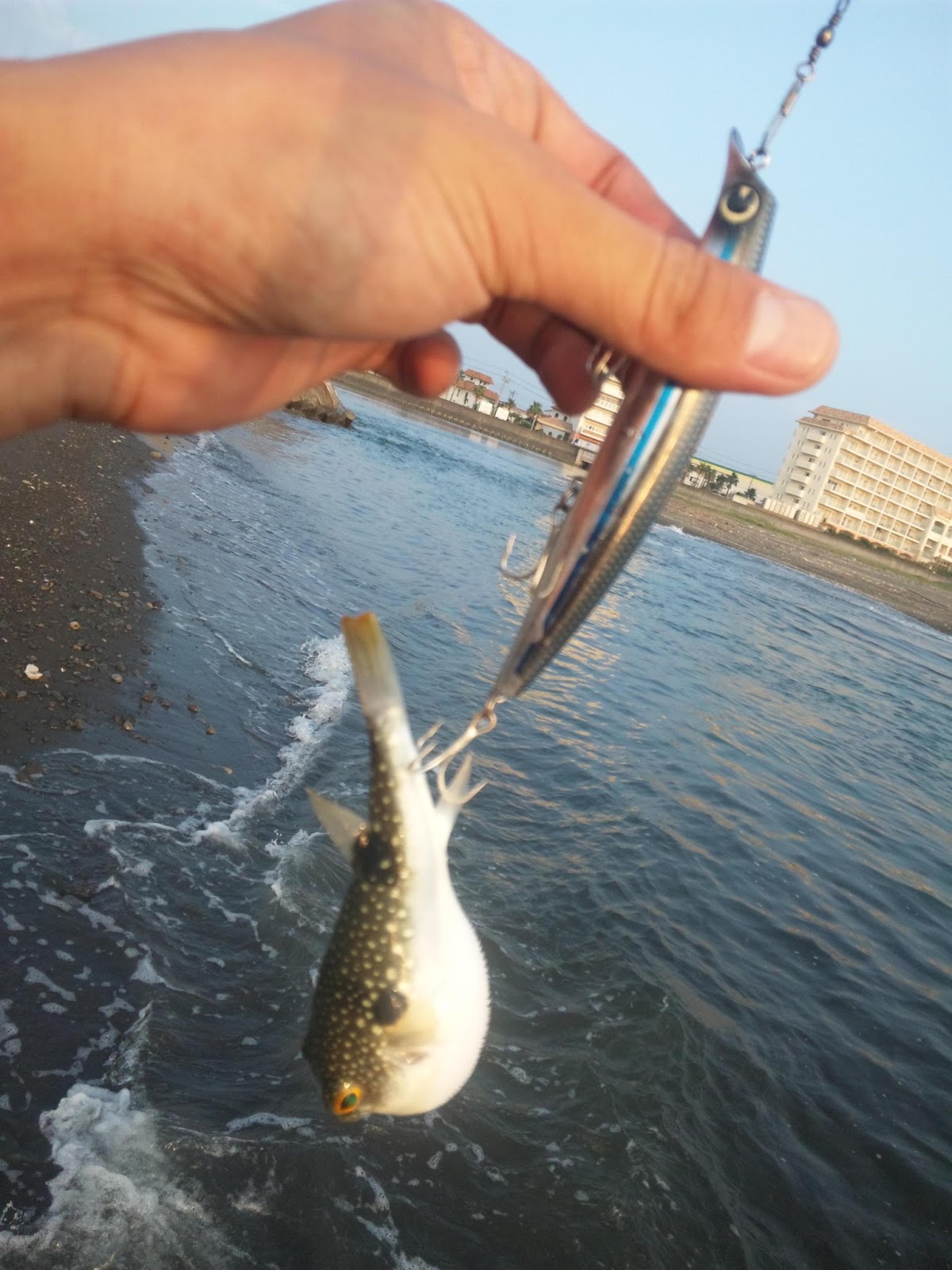 海士 仮 7月 13