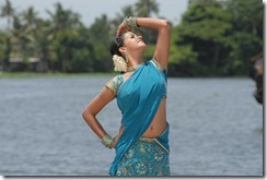 bhavana-hot in saree pic