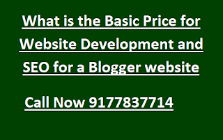 What is the Basic Price for Website Development and SEO for a Blogger website