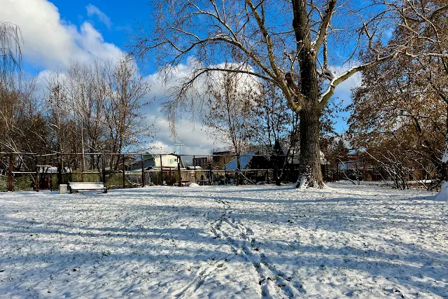 Косинский парк, набережная Белого озера, частные дома