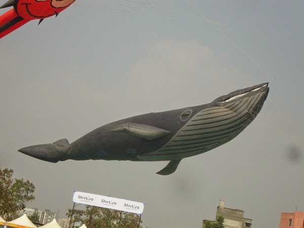 International Super Kite Festival - Moshi, Pune.