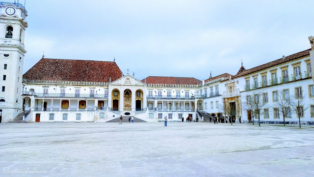 Homologação de diploma  Universidade de Coimbra 