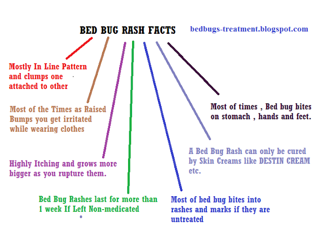 infographics picture on bed bug rash facts