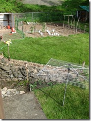 garden in 05