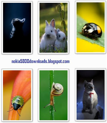 Animal Wallpapers Nokia N97