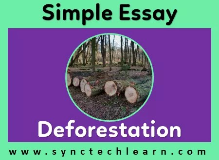 essay on deforestation in english