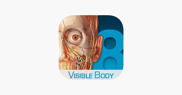 تحميل برنامج اطلس اناتومي للكمبيوتر | Download Atlas Anatomy for Windows