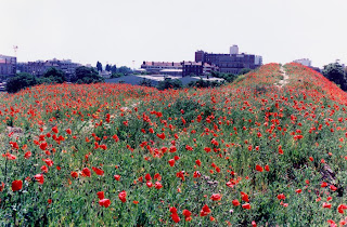 Richard Müller: La butte aux coquelicots floraison Ivry