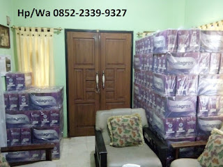 Achmad Agen Milagros Cilincing Jakarta