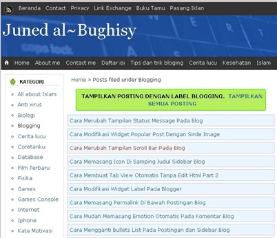 Judul Postingan Pada Halaman Label Blog