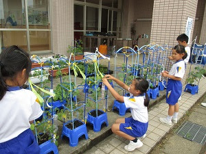 【人気ダウンロード！】 小学校 植木鉢 支柱 238698-小学校 植木鉢 支柱 たたみ方