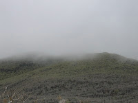 Rabida Island Enveloped with Guara Galapagos