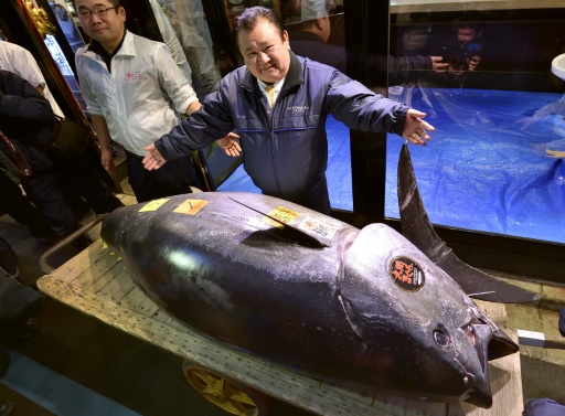 Ikan Tuna Sirip Biru di Tokyo Terjual dengan Harga Rp 43 Miliar dan Mencetak Rekor Baru!