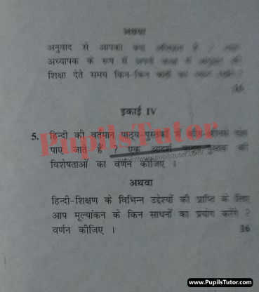 Free Download PDF Of Chaudhary Ranbir Singh University (CRSU), Jind, Haryana B.Ed First Year Latest Question Paper For Pedagogy Of Hindi Subject (Page 3) - https://www.pupilstutor.com