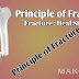 PRINCIPLE OF FRACTURE