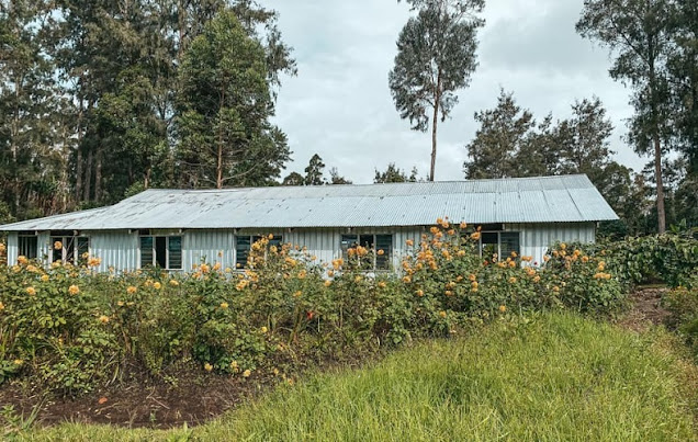 Agriculture in Papua New Guinea highlands