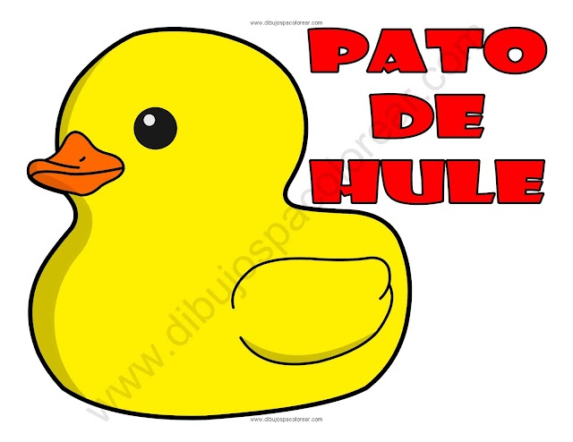 Pato de Hule dibujo a color y para colorear