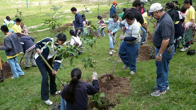 Estados/ Tlacomulco ejecuta  reforestación de 40 mil árboles 