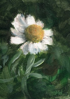 ACEO daisy painting