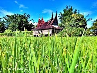[Foto] Koleksi Rumah Gadang Minangkabau  MINANG KABAU
