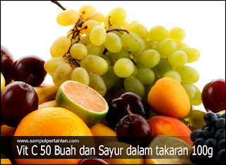 Inilah Daftar 50 Buah Dan Sayur Sesuai Dengan Jumlah Dosis Vitamin C Per 100 Gram