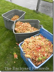 apple cider - The Backyard Farmwife