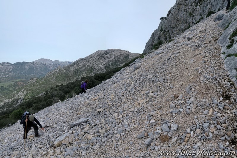 Sierra de los Pinos por las Pulgas