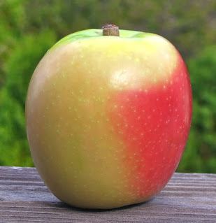 Apple with yellow-tan skin and small vivid fuschia blush